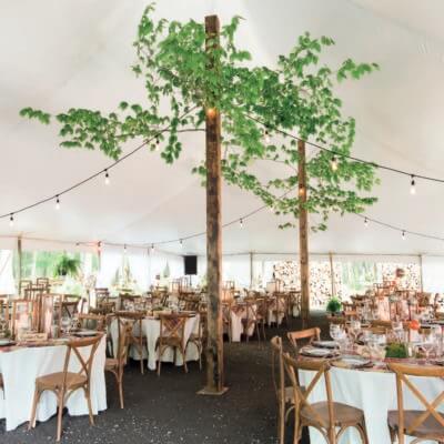 Everything to Know When Planning an Outdoor Wedding